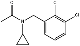 N-环丙基-N-(2,3-二氯苄基)乙酰胺, 1041439-18-2, 结构式