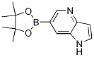 6-(4,4,5,5-TETRAMETHYL-1,3,2-DIOXABOROLAN-2-YL)-1H-PYRROLO[3,2-B]PYRIDINE Structure