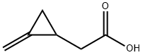 2-亚甲基-环丙基乙酸, 1073-00-3, 结构式