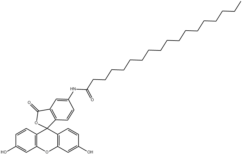 5-(オクタデカノイルアミノ)フルオレセイン 化学構造式