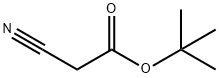 シアノ酢酸tert-ブチル 化学構造式