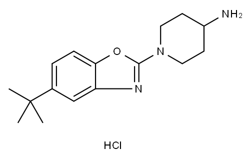 1-(5-TERT-ブチル-1,3-ベンゾキサゾール-2-イル)ピペリジン-4-アミン塩酸塩 化学構造式