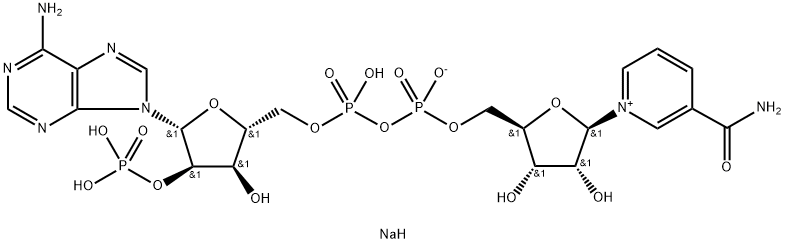 β-ニコチンアミドアデニンジヌクレオチドりん酸ナトリウム水和物 (酸化型) 化学構造式