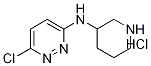 6-氯-N-3-哌啶基-3-哒嗪胺盐酸盐, 1185307-10-1, 结构式