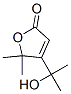 2(5H)-Furanone, 4-(1-hydroxy-1-methylethyl)-5,5-dimethyl- Struktur