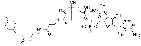 对香豆酰辅酶A 结构式