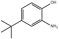 2-アミノ-4-tert-ブチルフェノール 化学構造式
