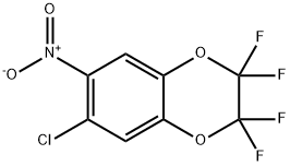 6-CHLORO-2,2,3,3-TETRAFLUORO-7-NITRO-1,4-BENZODIOXENE Structure