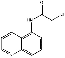2-CHLORO-N-QUINOLIN-5-YLACETAMIDE|2-氯-N-5-喹啉乙酰胺