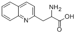 3-(2-喹啉基)-DL-丙氨酸 结构式