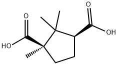 D-(+)-Camphoric acid Struktur