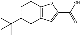 5-TERT-ブチル-4,5,6,7-テトラヒドロ-1-ベンゾチオフェン-2-カルボン酸 化学構造式