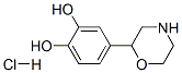4-MORPHOLIN-2-YLPYROCATECHOL HYDROCHLORIDE 结构式