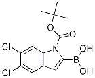1-BOC-5,6-二氯-1H-吲哚-2-硼酸, 1310384-28-1, 结构式