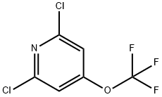 2,6-二氯-4-(三氟甲氧基)吡啶, 1361889-82-8, 结构式