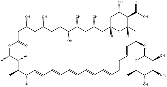 两性霉素 B 结构式