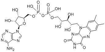 黄素腺嘌呤二核苷酸 结构式