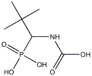 Carbamic acid, (phosphonomethyl)-, C-(1,1-dimethylethyl) ester (9CI) Structure