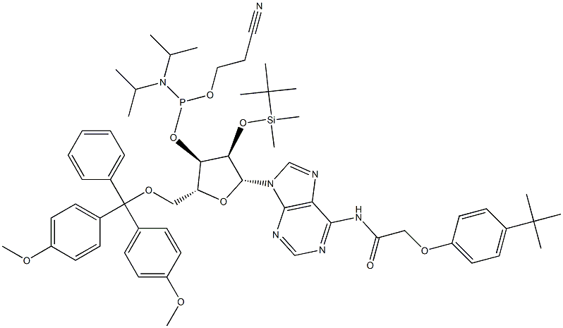 DMT-2'O-TBDMS-RA(TAC) ホスホロアミダイト 化学構造式