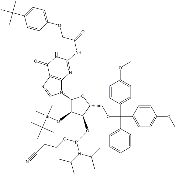 DMT-2'O-TBDMS-RG(TAC) ホスホロアミダイト 化学構造式