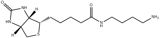N-(4-アミノブチル)ビオチンアミド 化学構造式