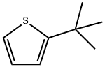2-(1,1-ジメチルエチル)チオフェン 化学構造式