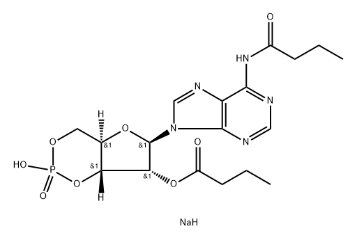 Adenosin, N-(1-Oxobutyl)-, zyklisches 3',5'-(Hydrogen-phosphat)-2'-butanoate, Mononatriumsalz