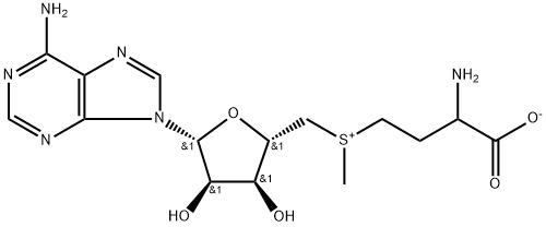 S-腺甘基蛋氨酸 结构式