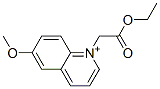N-(ethoxycarbonylmethyl)-6-methoxyquinolinium 结构式