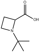 1-TERT-ブチル-2-アゼチジンカルボン酸 化学構造式