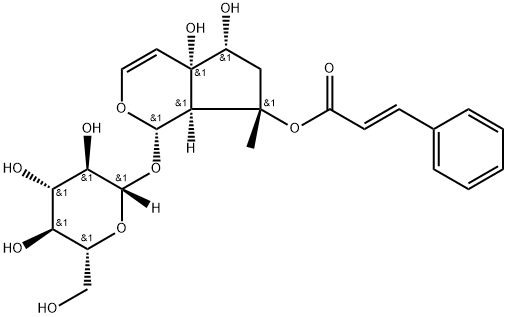 [(1S)-1,4a,5,6,7,7aα-ヘキサヒドロ-4aα,5α-ジヒドロキシ-7-メチル-7α-[[(E)-1-オキソ-3-フェニル-2-プロペニル]オキシ]シクロペンタ[c]ピラン-1α-イル]β-D-グルコピラノシド 化学構造式