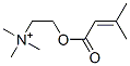 senecioylcholine Structure