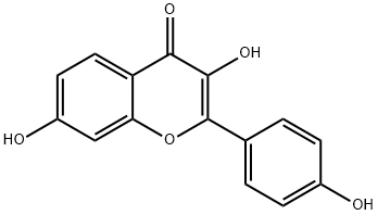 3,4',7-トリヒドロキシフラボン 化学構造式