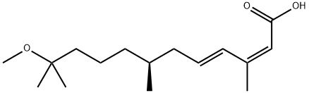 (2E,4E)-11-methoxy-3,7,11-trimethyl-dodeca-2,4-dienoic acid Struktur