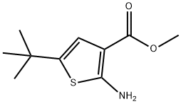 2-氨基-5-叔丁基噻吩-3-甲酸甲酯 结构式