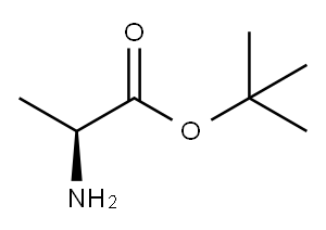 tert-butyl L-alaninate Structure