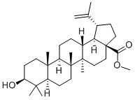 桦木酸甲酯 结构式