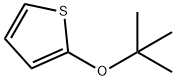 2-(叔丁氧基)噻吩, 23290-55-3, 结构式