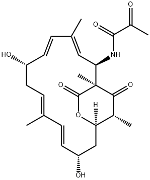 N-[(1S,2R,3E,5E,7S,9E,11E,13S,15R,19R)-7,13-ジヒドロキシ-1,4,10,19-テトラメチル-17,18-ジオキソ-16-オキサビシクロ[13.2.2]ノナデカ-3,5,9,11-テトラエン-2-イル]-2-オキソプロパンアミド 化学構造式