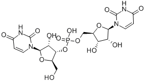 3'-O,5'''-O-ホスフィニコビスウリジン 化学構造式