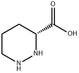 (2R)-哌嗪-2-甲酸 结构式