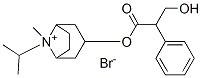 (1S,5R)-3α-(3-ヒドロキシ-1-オキソ-2-フェニルプロポキシ)-8-メチル-8-イソプロピル-8-アゾニアビシクロ[3.2.1]オクタン・ブロミド 化学構造式