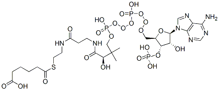 6-[2-[3-[[(2R)-4-[[[(2R,3S,4R,5R)-5-(6-aminopurin-9-yl)-4-hydroxy-3-phosphonooxyoxolan-2-yl]methoxy-hydroxyphosphoryl]oxy-hydroxyphosphoryl]oxy-2-hydroxy-3,3-dimethylbutanoyl]amino]propanoylamino]ethylsulfanyl]-6-oxohexanoic acid Structure
