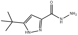 3-(叔丁基)-1H-吡唑-5-甲酰肼, 262292-02-4, 结构式