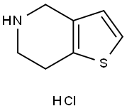 4,5,6,7-四氢噻吩[3,2-c]吡啶盐酸盐 结构式