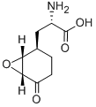 (1R,6R,αS)-α-アミノ-5-オキソ-7-オキサビシクロ[4.1.0]ヘプタン-2β-プロピオン酸 化学構造式