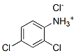 2,4-dichloroanilinium chloride|