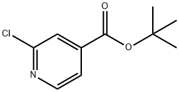 2-氯异烟酸叔丁酯, 295349-62-1, 结构式
