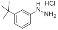 1-[3-叔丁基苯基]肼盐酸盐, 306937-27-9, 结构式