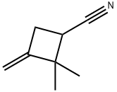 2,2-Dimethyl-3-methylenecyclobutane-1-carbonitrile Struktur
